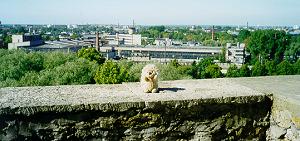 Tallinn