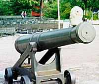 Me on a cannon